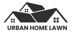 Urban Home Lawn